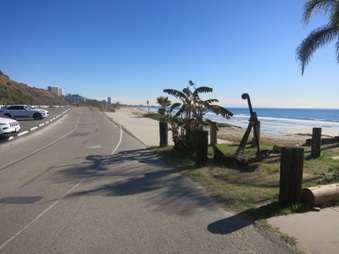 Enlarge photo 41