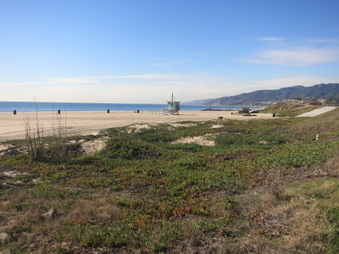 Enlarge photo 58