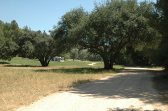 Enlarge photo 35