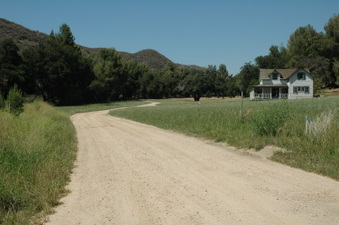 Enlarge photo 42