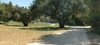 Enlarge photo 28