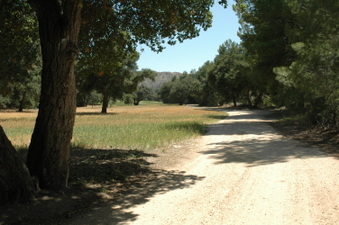 Enlarge photo 16