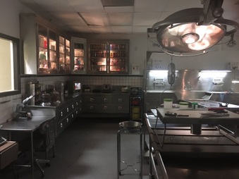 Morgue Prop Rental