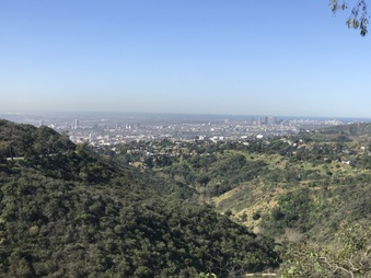 Enlarge photo 10