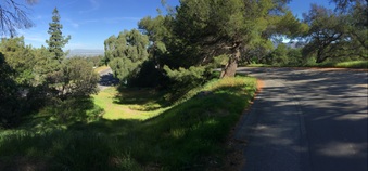 Enlarge photo 3