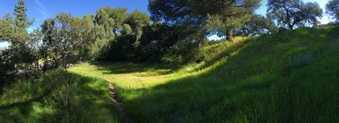 Enlarge photo 6