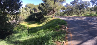 Enlarge photo 8