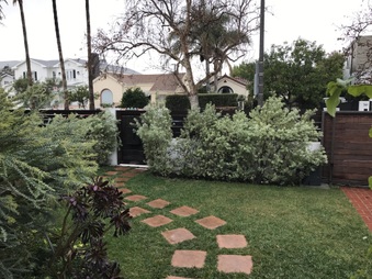 Enlarge photo 15