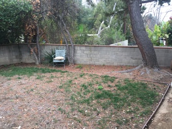 Enlarge photo 24