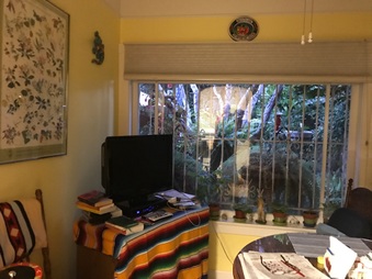 Enlarge photo 17