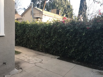 Enlarge photo 21