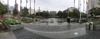 Enlarge photo 42