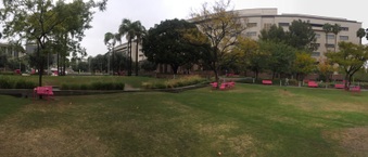 Enlarge photo 27