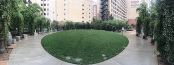 Enlarge photo 12