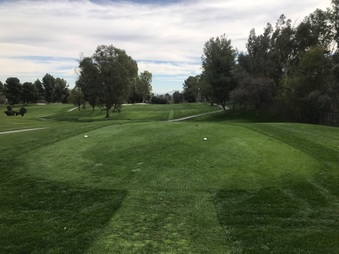 Golf Course