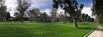 Enlarge photo 29