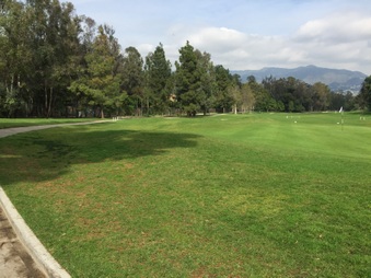 Enlarge photo 28