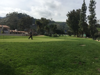 Enlarge photo 23