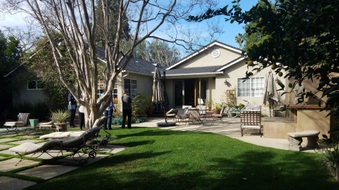 Enlarge photo 5