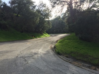 Laurel Cyn Roads