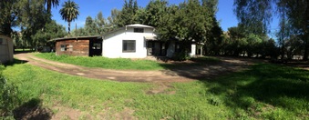 Enlarge photo 7