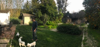 Enlarge photo 8