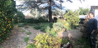 Enlarge photo 3