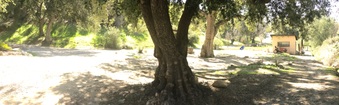 Enlarge photo 22