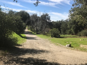 Enlarge photo 16
