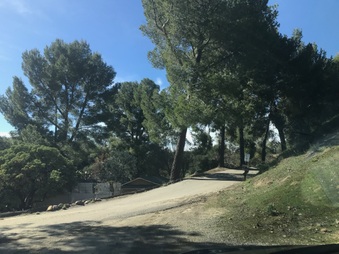Enlarge photo 32