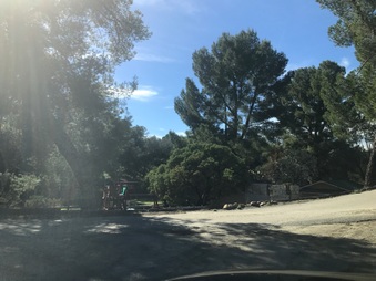 Enlarge photo 31