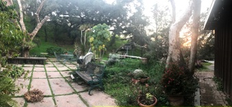 Enlarge photo 25