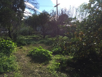 Enlarge photo 30