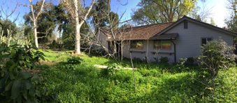 Enlarge photo 9