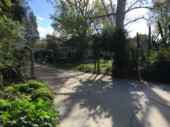 Enlarge photo 5