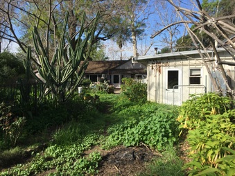 Enlarge photo 21