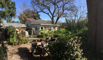 Enlarge photo 15
