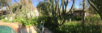 Enlarge photo 38