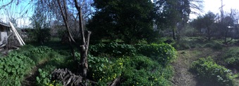 Enlarge photo 32