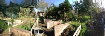 Enlarge photo 34