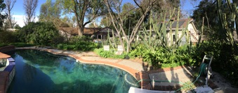 Enlarge photo 37