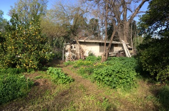 Enlarge photo 31