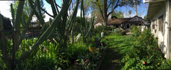 Enlarge photo 35