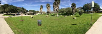 Enlarge photo 5
