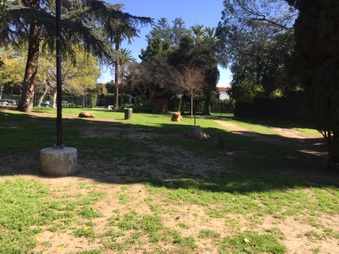 Enlarge photo 7