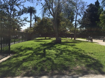 Playground