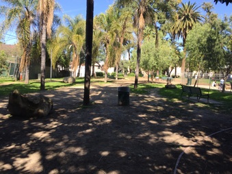Enlarge photo 6
