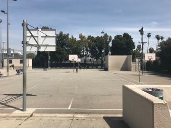 Basketball Courts