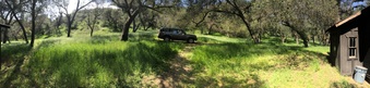 Enlarge photo 23