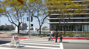 Enlarge photo 41